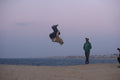 FLIPS