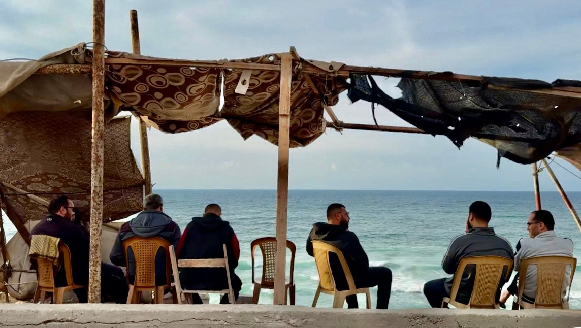 COLLECTION - 321 PHOTOS