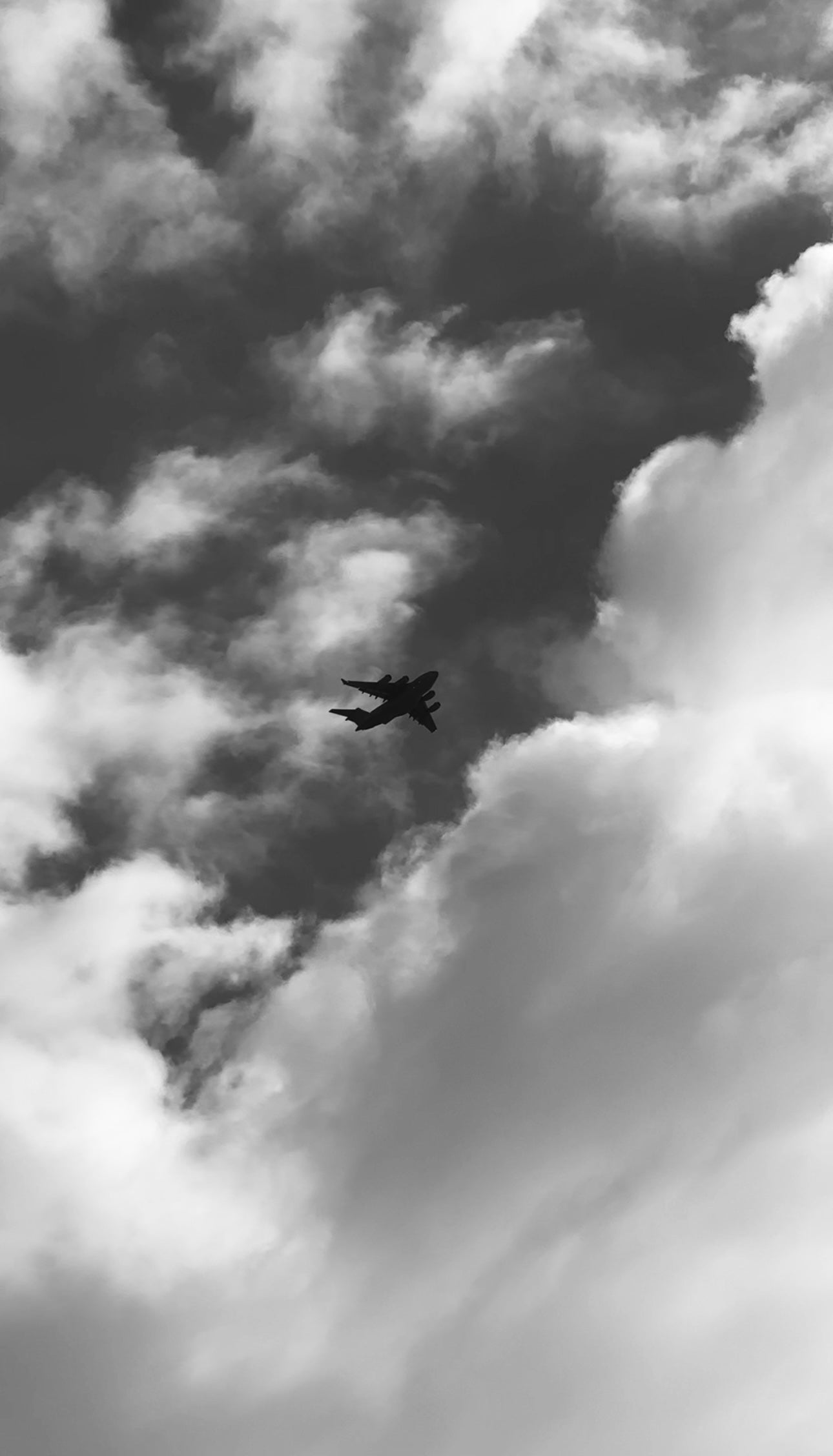 COLLECTION - 321 PHOTOS