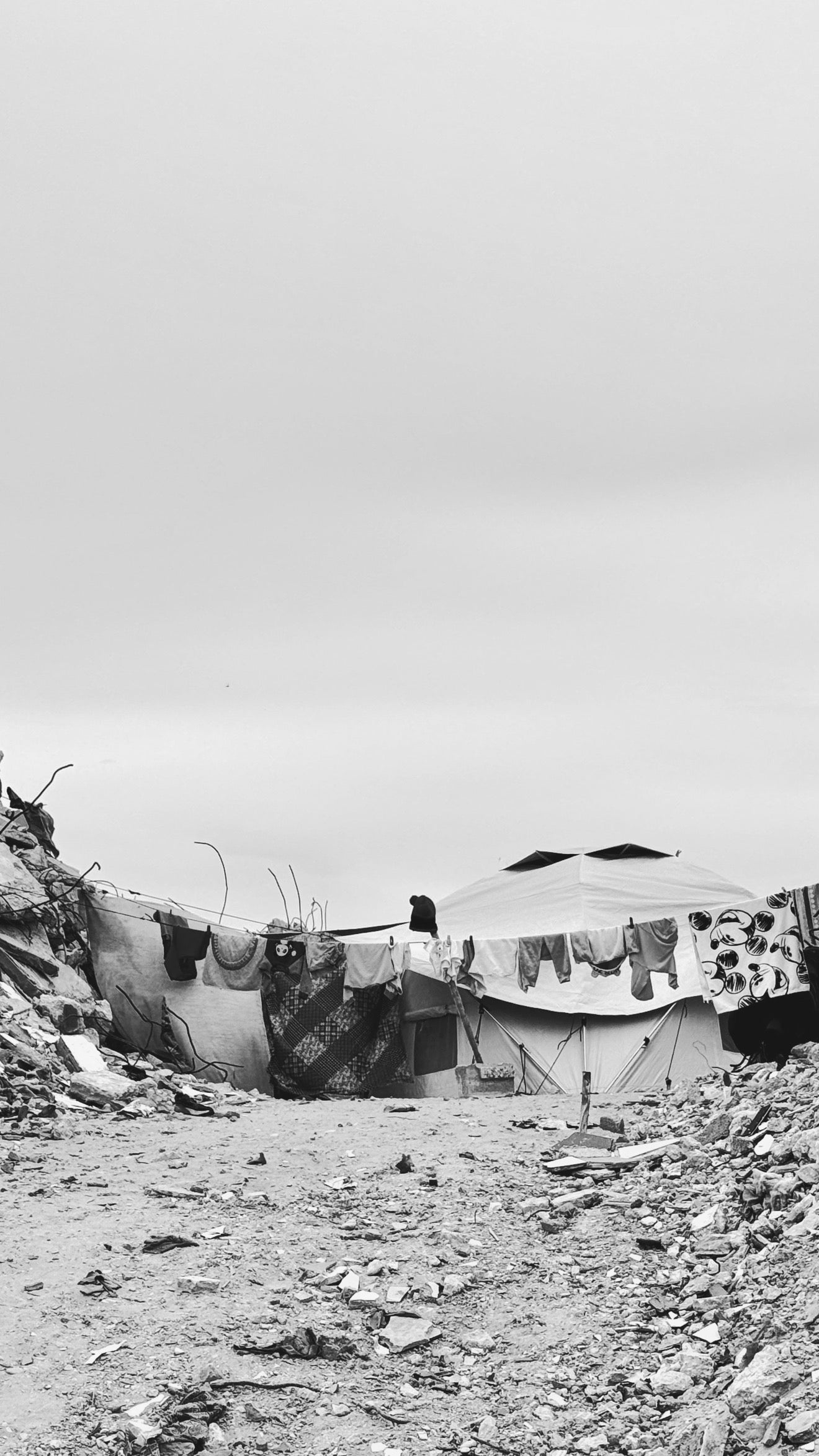 71 Bundle
